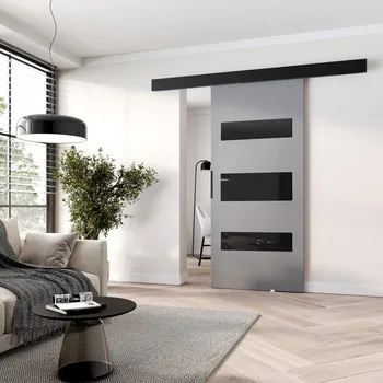 Interiérové dveře Posuvné interiérové dveře BARRET 14 - 96 cm, šedé / černé