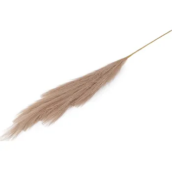 umělá květina Pampová tráva, střední, 3 béžová