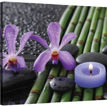 Obraz Obraz na plátně, Bambus Květy Zen Spa Svíčka - 5