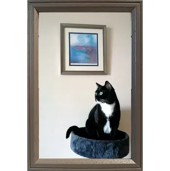 Obraz Rámeček na jednu fotografii Marek i Darek 23 x 15 cm