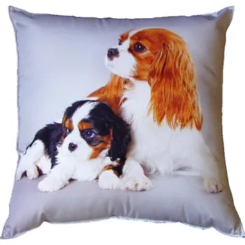 Dekorativní polštářek DADKA VRACOV Fotopolštářek Psí kavalíři 40x40 cm