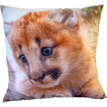 Dekorativní polštářek DADKA VRACOV Fotopolštářek Malá šelma 40x40 cm