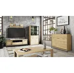 Nábytek do obývacího pokoje s LED osvětlením SUCRE 1 - ořech hikora / černé nožky