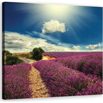 Obraz OBRAZ NA PLÁTNĚ Levandulové pole Louka Slunce