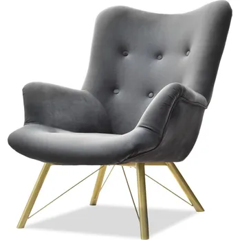Křeslo Křeslo ušák ANDIS - tmavě šedé / zlaté