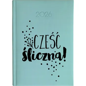 Kalendář Knižní kalendář 2026 A5 FunnyCase vícebarevný