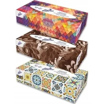 Papírový kapesník Hygienické kapesníčky bez vůně Linteo 2 vrstvé, 100 ks