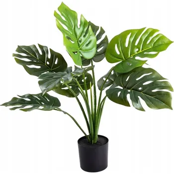 umělá květina HOMLA Umělá rostlina TROPICAL ZONE palma v černém květináči 66 cm