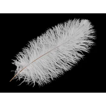 Pštrosí peří délka 40-45 cm nebělené, střední, bílá přírodní