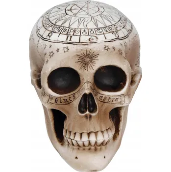 Obraz Halloween duchovní Lebka