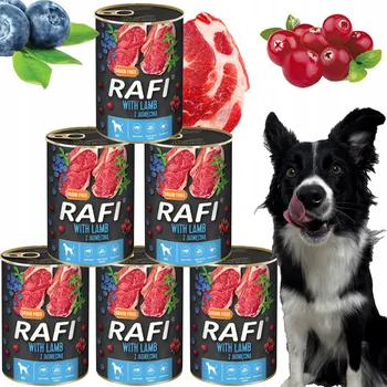 Krmivo pro psa Krmivo pro psy Brusinky Borůvka Dolina Noteci RAFI 400g x 6 ks