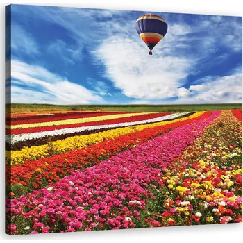 Obraz OBRAZ NA PLÁTNĚ Květiny Louka Příroda Krajina