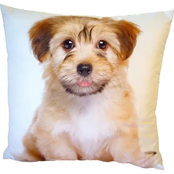 Dekorativní polštářek DADKA VRACOV Fotopolštářek Roztomilý pejsek 40x40 cm