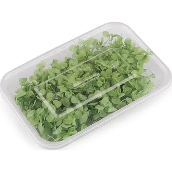 umělá květina Sušené / stabilizované hortenzie pro suché i mokré aranžování, střední, 3 zelená trávová