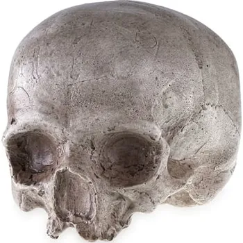 Žertovný předmět imago Lidská lebka - replika