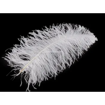 Pštrosí peří délka 50-55 cm, střední, 1 bílá
