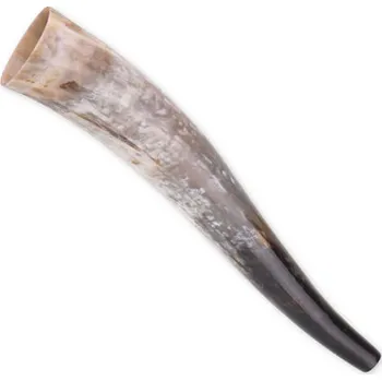 Chov hospodářského zvířete imago Roh na troubení 50 cm