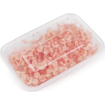 umělá květina Sušené / stabilizované hortenzie pro suché i mokré aranžování, střední, 2 pudrová