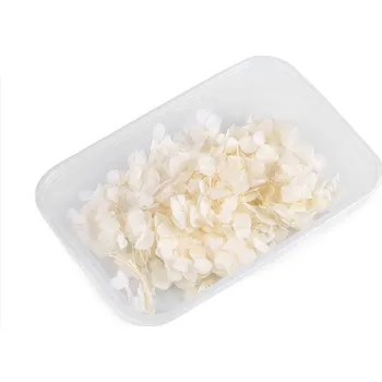 umělá květina Sušené / stabilizované hortenzie pro suché i mokré aranžování, střední, 1 krémová světlá