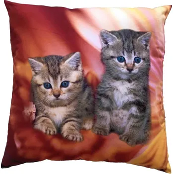 Dekorativní polštářek DADKA VRACOV Fotopolštářek Koťata v ohni 40x40 cm