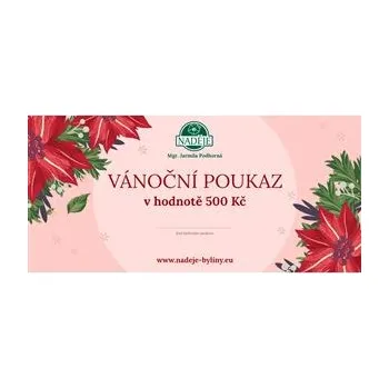 Dárková visačka Vánoční poukaz 500 Kč (elektronický)