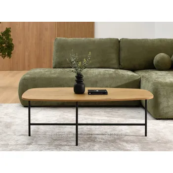 Konferenční stolek Velký konferenční stolek RAEL - dub / černý