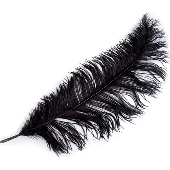 Pštrosí peří délka 60 cm, střední, 12 černá