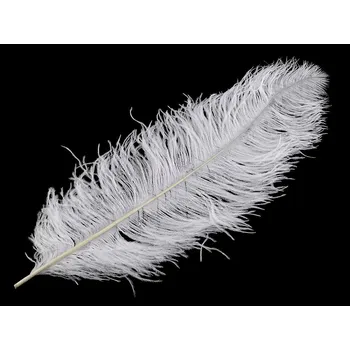 Pštrosí peří délka 60 cm, střední, 9 bílá