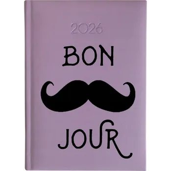 Kalendář Knižní kalendář 2026 A5 FunnyCase vícebarevný