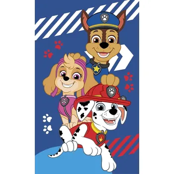 Jerry Fabrics Dětský ručník Paw Patrol Blue 30x50 cm