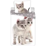 Jerry Fabrics Povlečení fototisk Kitten grey 140x200, 70x90 cm