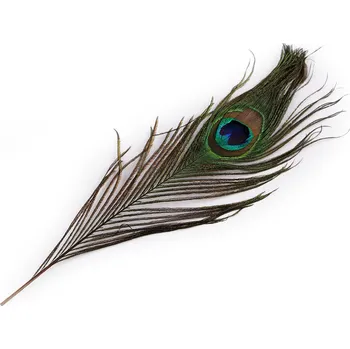 Paví peří délka 25-30 cm, střední, paví přírodní