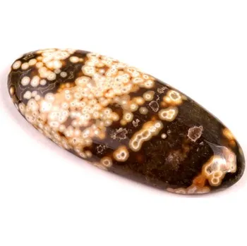 Sběratelství Kabošon Ocean Jaspis č.7116 (44x19x7mm)