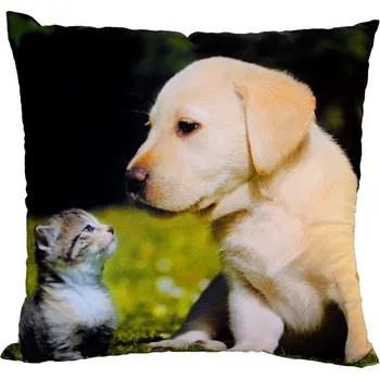 Polštář DADKA VRACOV Fotopolštářek Kotě a štěně na trávě 40x40 cm