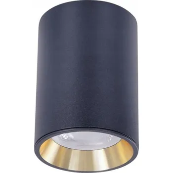 Stropní svítidlo přisazené Spectrum LED 40 W GU10 10 cm černé