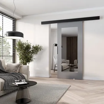 Interiérové dveře Posuvné dveře se zrcadlem BARRET 19 - 86 cm, šedé / černé