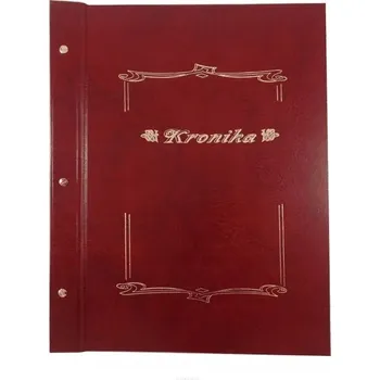 Zápisník Kronika - Kolektiv autorů