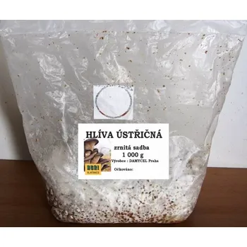 Semeno DAMYCEL Praha Hlíva ústřičná 1 kg