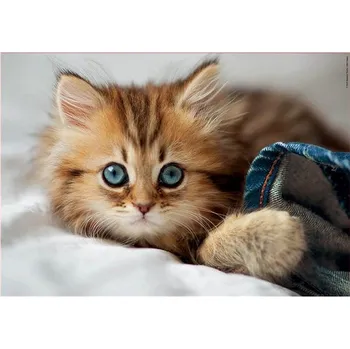 Educa Puzzle Koťátko 200 dílků