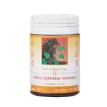 HŘÍVA ČERNÉHO VRANÍKA TCM Herbs 100 tablet