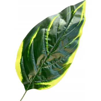 umělá květina Gumový list 65 cm, doplňková větvička, ozdobný list do kytice, dieffenbachia