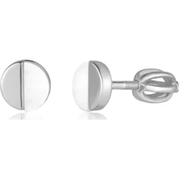 Šperk Stříbrné náušnice SVLE3180XH2PLSR šroubek
