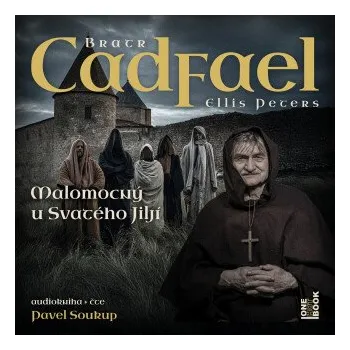 Malomocný u Svateho Jiljí - Ellis Petersová