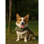 Sinsay - Kostým pro psa - khaki - 871HJ-87X - 871HJ-87X-ONE