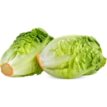 Salát Little Gem zelený, 2 ks 160g