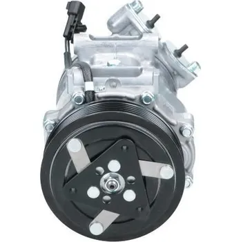 Kompresor klimatizace Kompresor, klimatizace BV PSH 090.595.002.876