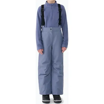 Snowboardové kalhoty Dětské lyžařské kalhoty 4F Fnk F0948 grey