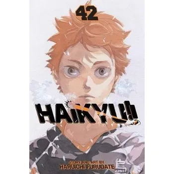 Beletrie pro dospělé Haikyu!! 42