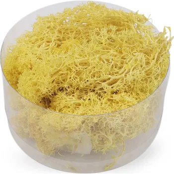 umělá květina Stabilizovaný / preparovaný mech 20 g v krabičce, malé, 5 žlutá světlá