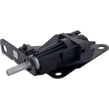 Dveře karosérie Servomotorek, ovladač centrálního zamykání kufru BMW X5 (E70) | 2006-2010 |